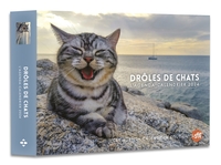 Picture of Agenda - Calendrier Drôles de chats 2024