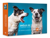 Picture of Agenda - Calendrier Drôles de chiens 2025