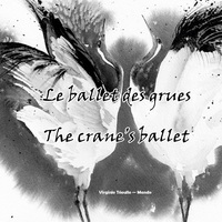 Picture of Le ballet des grues / The crane's ballet