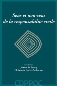 Image de SENS ET NON-SENS DE LA RESPONSABILITE CIVILE