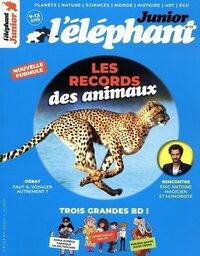 Picture of Elephant Junior - N° 17