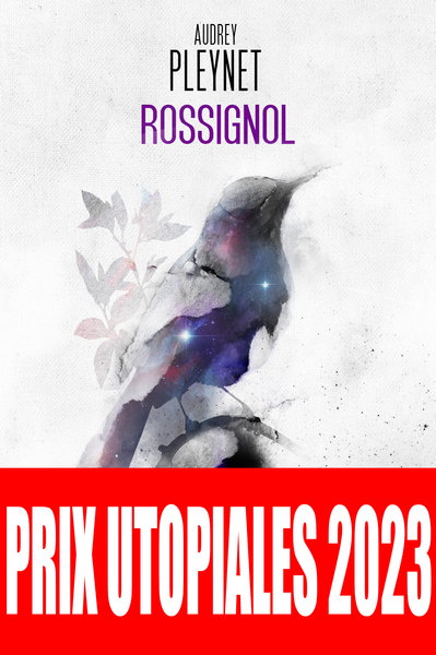 Picture of Rossignol
