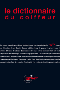 Picture of LE DICTIONNAIRE DU COIFFEUR 2015