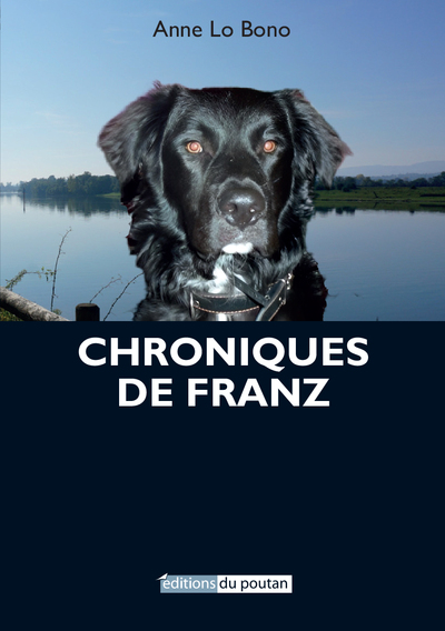 Picture of Chroniques de Franz