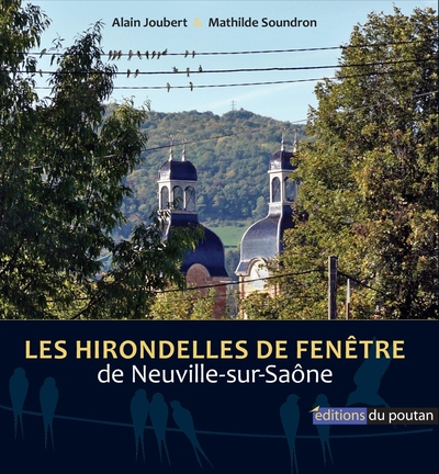Image de Les Hirondelles de fenêtre