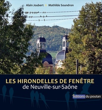 Image de Les Hirondelles de fenêtre