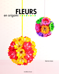 Image de FLEURS EN ORIGAMI