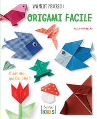 Image de ORIGAMI FACILE