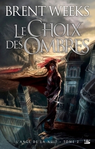 Image de L'Ange de la Nuit, T2 : Le Choix des ombres