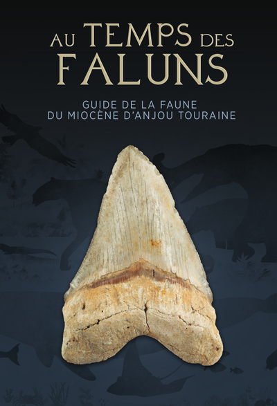 Image de AU TEMPS DES FALUNS