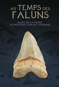 Image de AU TEMPS DES FALUNS