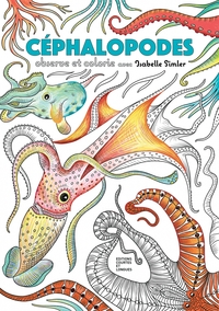 Picture of Céphalopodes