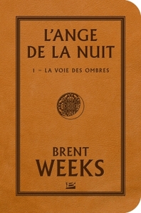 Image de L'Ange de la Nuit, T1 : La Voie des ombres