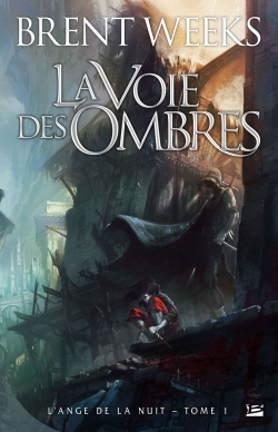 Image de L'Ange de la Nuit, T1 : La Voie des ombres