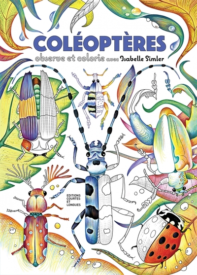 Picture of Coléoptères