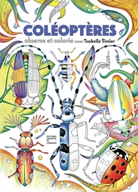 Picture of Coléoptères