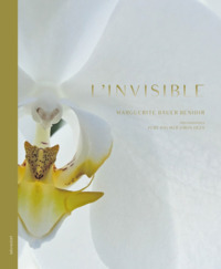 Image de L'INVISIBLE