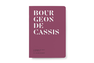 Picture of Le Bourgeon de cassis en parfumerie
