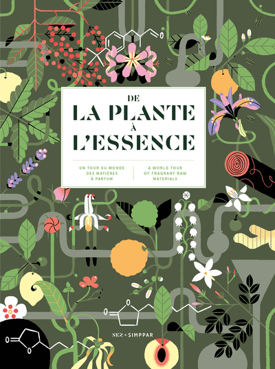 Picture of De la plante à l'essence - Un tour du monde des matières à parfum