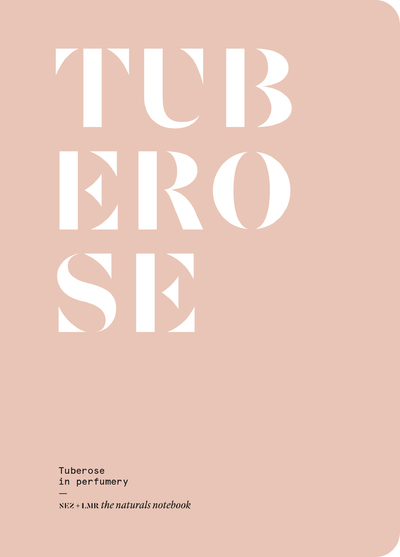 Picture of Tuberose in perfumery