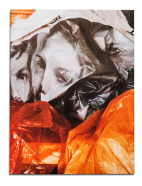 Image de Le Monde à plat