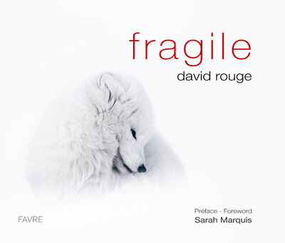 Image de Fragile