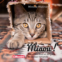 Image de Miaou! 100 chats doux et dingues de Suisse romande