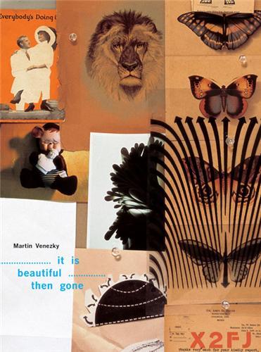 Picture of It Is Beautiful Then Gone (Paperback) /anglais