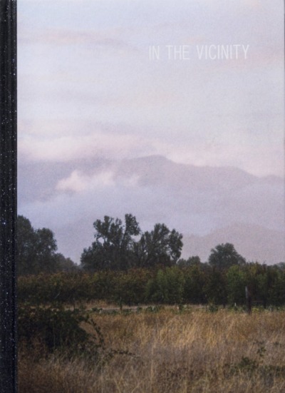 Picture of IN THE VICINITY