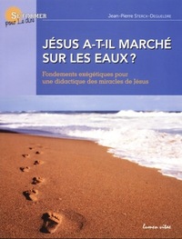 Picture of Jésus a-t-il marché sur les eaux ?