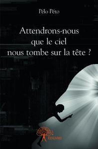 Image de Attendrons nous que le ciel nous tombe sur la tête ?