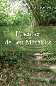 Picture of L’escalier de ben marakiss