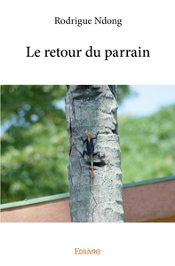 Image de Le retour du parrain