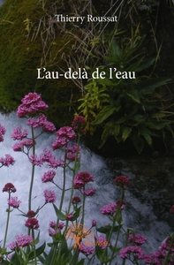 Picture of L'au-delà de l'eau