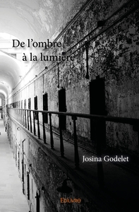 Picture of De l'ombre à la lumière