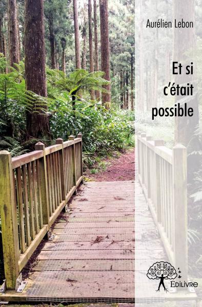 Image de Et si c'était possible
