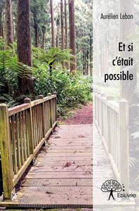 Image de Et si c'était possible