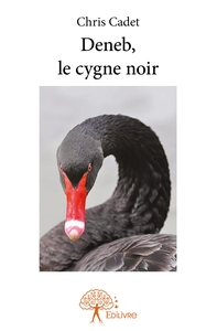 Picture of Deneb, le cygne noir