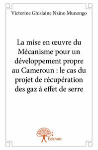 Image de La mise en œuvre du mécanisme pour un développement propre au cameroun : le cas du projet de récupération des gaz à effet de serre