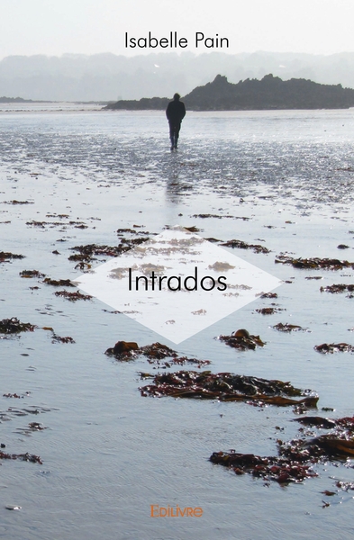 Picture of Intrados