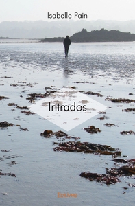 Picture of Intrados