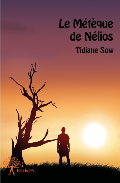 Image de Le Métèque de Nélios