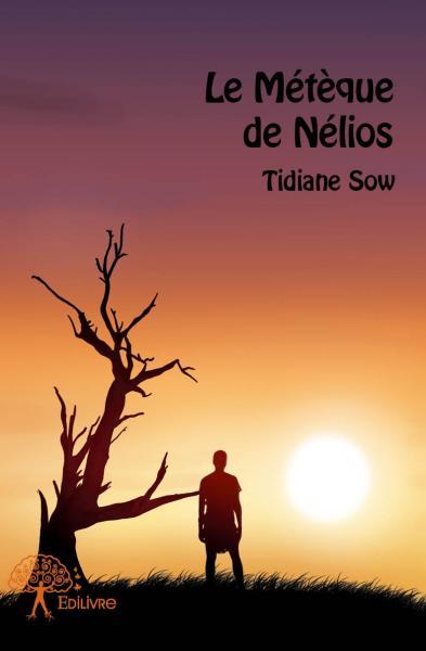 Image de Le métèque de nélios