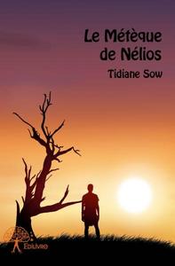 Image de Le métèque de nélios