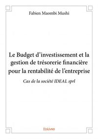 Image de Le budget d’investissement et la gestion de trésorerie financière pour la rentabilité de l’entreprise