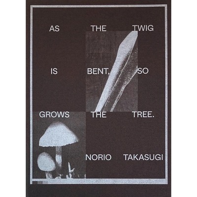 Picture of As the twig is bent, so grows the tree