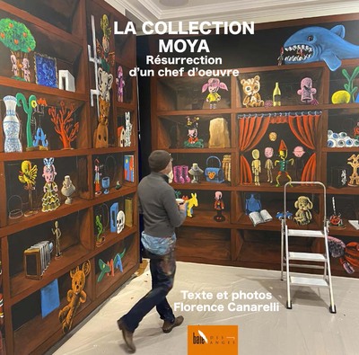 Image de La Collection Moya