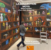 Image de La Collection Moya