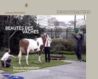 Image de Beautés des vaches