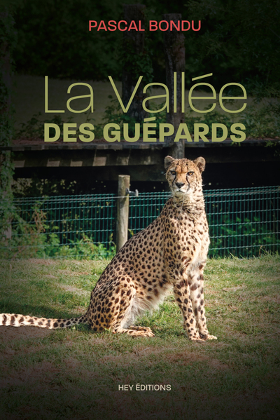 Image de LA VALLÉ DES GUÉPARDS